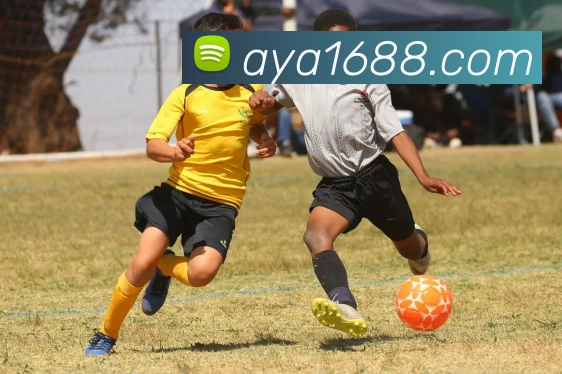 澳亚国际官网平台生态图