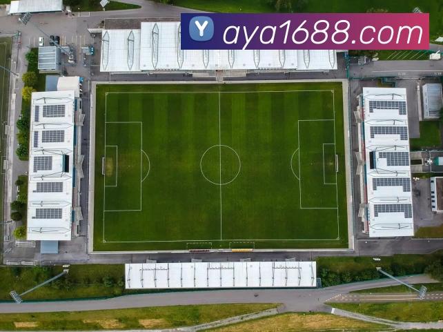 澳亚国际官网APP 封面图